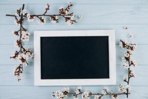 Spring flowers cherry blossoming around blackboard on the blue wooden background. Top view with copy space. Flat lay photo