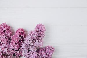 Floral pattern of a branch of lilac on a wooden white background. Top view. Flat lay. Spring concept. Copy space photo