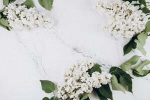 Floral pattern of a branch of lilac on a trendy marble background. Top view. Flat lay. Spring concept. Copy space photo