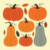 A display of pumpkins in assorted shapes, sizes, and color variations vector