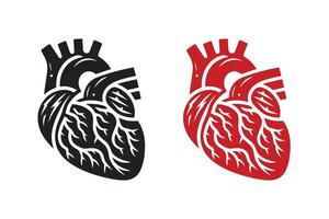 Human Cardiac Silhouette vector