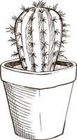 Illustration sketch cactus in a pot vector