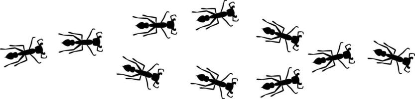 Ant trail way as fork on the road illustration. Contamination concept. Stock illustration isolated on white background in simple flat style. vector