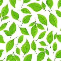 Seamless pattern green leaves. Floral backdrop with colorful foliage isolated on white. Endless texture for eco projects packaging wrapping fabric vector