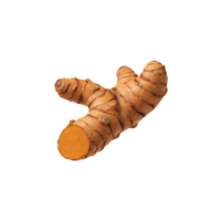 Fresh turmeric root image on a clear background png