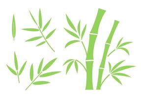 Bamboo stems segments with branches and leaves set. Flat monochrome illustration isolated on white background. vector