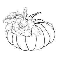 Pumpkin and Flower. Graphics illustration painted by black inks. Linear drawing Autumn vegetables. Engraving for designs fall harvest and Thanksgiving day. Sketch in line art style vector