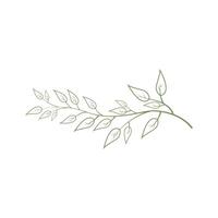 branch of a tree logo design concept outline style vector
