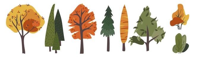 Collection of trees isolated on white background. Botanical collection of bare trees and ones with leaves and lush crowns. Flat illustration on white background vector