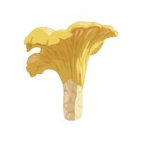 Chanterelle mushroom for creating art brushes in cartoon style. illustration vector