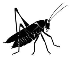 Black Silhouette of a Grasshopper in Profile View vector