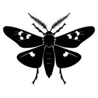 Elegant Silhouette of a Moth in Black and White vector