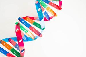 Deoxyribonucleic acid or DNA, double helix chains structure formed by base pairs attached to a sugar phosphate backbone. photo