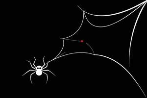A vivid red spider weaving an intricate white web against a solid black background showcasing its artistry in nature at night vector