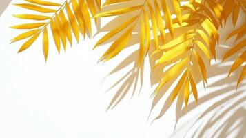 Yellow leaves on the edge decoration with natural shadow form sun light and white background photo