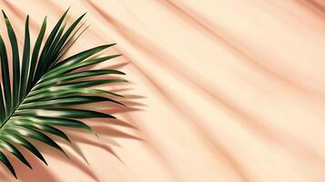 Green palm leaves of the edge frame decoration botanical nature copy space peach background photo