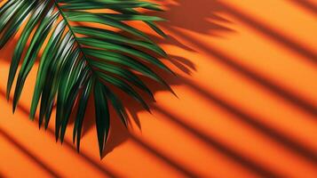 Green palm leaves of the edge frame decoration botanical nature copy space orange background photo