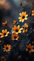 Captivating yellow flower dramatic photo effect dark deep blurred background portrait style