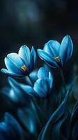 Captivating blue tulip flower dramatic photo effect dark deep blurred background portrait style
