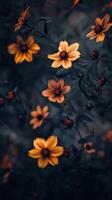 Captivating yellow flower dramatic photo effect dark deep blurred background portrait style