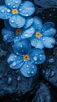 A stunning blue flower with waterdrop freshness on rocks deep dark portrait background photo
