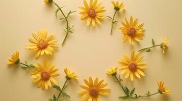Circular arrangement of arnica flower beauty botanical garden copy space background photo
