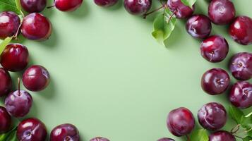 Plum fruit slice organic botanical harvesting copy space blank center circular arrangement photo