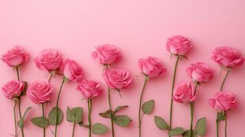Pink rose flowers lined up at the bottom and blank space at the top photo