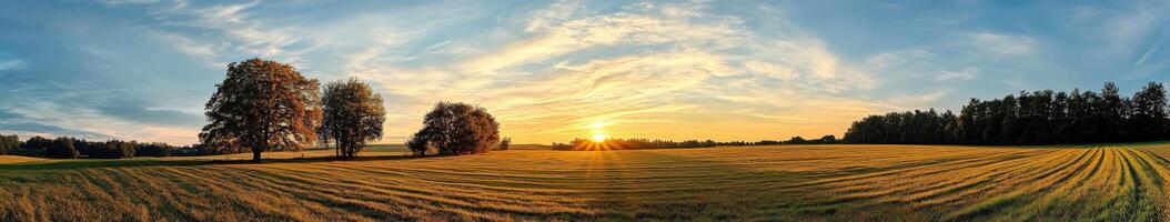 Golden sunset over serene countryside fields with trees and horizon photo