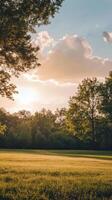 Gentle sunset over a serene countryside field with lush greenery photo