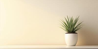 Indoor plant in a minimalist white pot on a shelf against a beige wall photo
