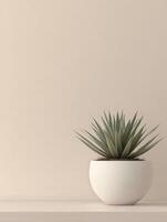Modern indoor plant in a white pot against a neutral wall backdrop photo