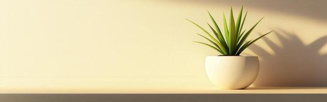 Sunlit green plant in a white pot on a wooden shelf in a cozy room photo