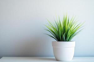 Vibrant green plant in a modern pot on a light wooden table photo