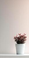 A small potted plant with vibrant leaves on a minimalist shelf photo
