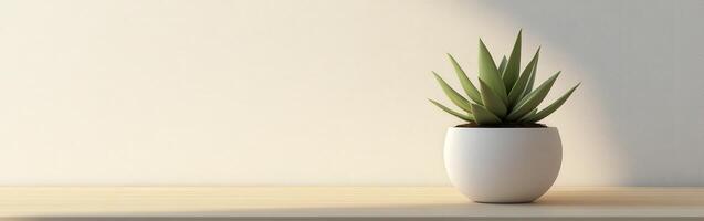 Green succulent in a white pot on a wooden shelf photo