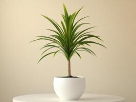 White pot plant on a light surface with a neutral backdrop photo