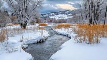 Majestic river valley in winter with snow-covered banks and trees photo