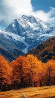 Autumn colors exploding below snow capped mountain peak photo