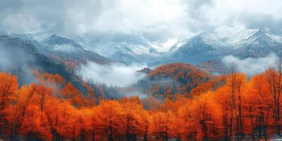 Dramatic autumn scenery with colorful forest covering mountains photo