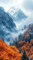 Fog is covering the colorful autumn forest in the mountains photo