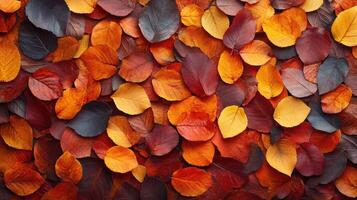 Autumn leaves background creating colorful fall foliage texture photo