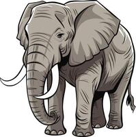 Elephant cartoon illustration, elephant art. Ai generate vector