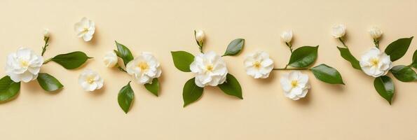 A flat lay of jasmine flowers and green leaves on a beige backdrop offers a serene aesthetic with ample copy space, perfect for creative projects and inviting inspiration into any design photo