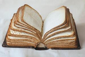 This is an imaginative and creative representation of an open book that is artfully crafted from slices of bread, merging the realms of culinary art with captivating literary themes photo