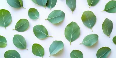 This stunning display features vibrant green eucalyptus leaves on a clear background, ideal for showcasing cosmetics, creating elegant greeting cards, or enhancing advertising designs photo