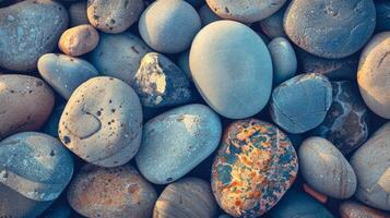 A collection of smooth pebbles with various natural patterns and colors, lit softly to enhance texture. photo