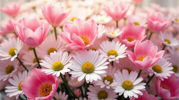 Floral Arrangement of Tulips and Daisies, in Shades of Pink and White with a Soft Pastel Tone photo