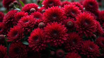 Dense Floral Arrangement of Red and Burgundy Shades Color Flowers photo