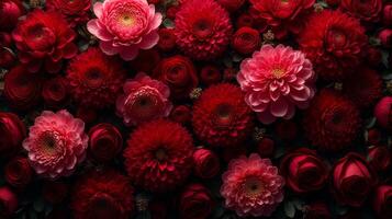 Dense Floral Arrangement of Red and Burgundy Shades Color Flowers photo